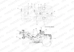 BODY | BODY, DECALS - A13TN55AA/AZ (49ATVDECAL13SPX2550)