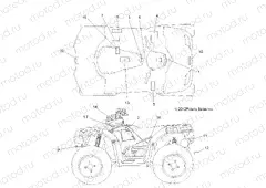 BODY | BODY, DECALS - A13ZN85AA/AQ/AZ (49ATVDECAL13SP850XP)