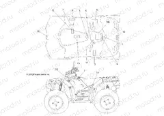 BODY | BODY, DECALS - A13ZN8EFK/EFN (49ATVDECAL13850F)
