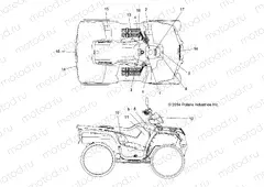 BODY | BODY, DECALS - A15SHC57CS (49ATVDECAL15570SPQ)