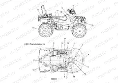 BODY | BODY, DECALS - A15SJE57HI (100013)
