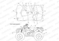 BODY | BODY, DECALS - A15SXE85AS/AM/A85AA/AC/AJ (49ATVDECAL15850SP)