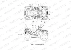 BODY | BODY, DECALS - A15SYE85FS (49ATVDECAL1585TREU)