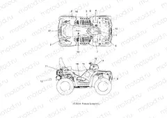 BODY | BODY, DECALS - A15SYE95AX/L95AP (49ATVDECAL15SPTRG850)