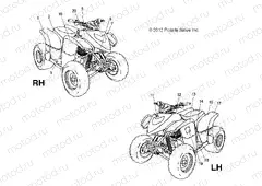 BODY | BODY, DECALS - A15YAP20AF (49ATVDECAL13PHX)
