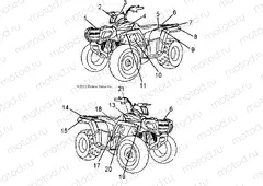 BODY | BODY, DECALS - A16YAF11AA (49ATVDECAL13SP90)