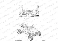 BODY | BODY, DECALS COMMON - Z20PAE92AC/BC (C700746-1)
