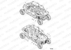 BODY | BODY, DECALS - Z19VFK99LK (702498)