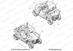 BODY | BODY, DECALS - Z20A5A87B2/E87BP/BK/BX (20RZR900DECALS)