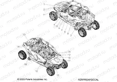 BODY | BODY, DECALS - Z20R4C92AE/BE (RZRPROXPDECAL)