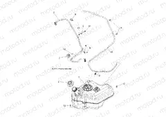 BODY | BODY, FUEL TANK - A15DAA32EA/EJ (49ATVFUEL14325)