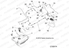 BODY | BODY, FUEL TANK AND EVAP - G20GMJ99AP/BP/AG (C700174)