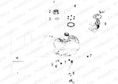 BODY | BODY, FUEL TANK and HOSES - A20YAF11B5/N5 (A00067)