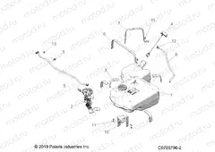 BODY | BODY, FUEL TANK - D20BBP99A4/FP99A4 (C0703796-2)