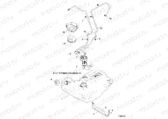 BODY | BODY, FUEL TANK - Z20A5A87B2/E87BP/BK/BX (702437)