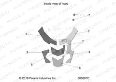 BODY | BODY, HOOD FOAM/FIBER - S21EGT8R ALL OPTIONS (600891C)
