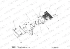 BRAKES | BRAKES, CALIPER, FRONT - L20U2NAFLA (C0750750-1)