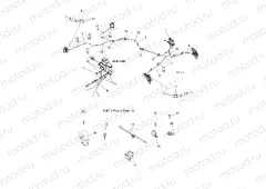 BRAKES | BRAKES, LINES and MASTER CYLINDER - R17RTED1F1/SD1C1 (49RGRBRAKELINES13900XP)