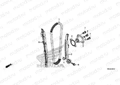 CAM CHAIN / TENSIONER