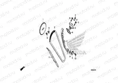 CAM CHAIN & TENSIONER