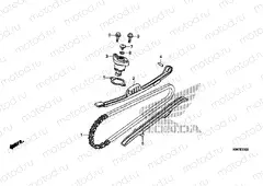 CAM CHAIN / TENSIONER