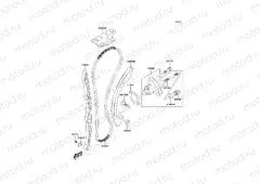 Cam Chain/Tensioner