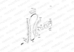 Cam Chain/Tensioner