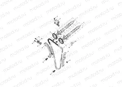 Camshaft and Drive