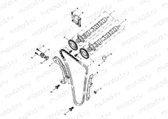 Camshaft & Camshaft Drive