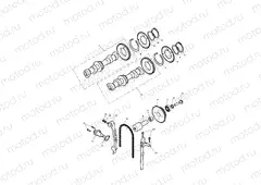 Camshaft & Camshaft Drive