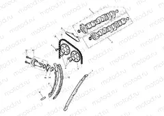 Camshaft & Camshaft Drive