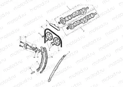 Camshaft & Camshaft Drive