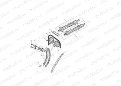 Camshaft & Camshaft Drive