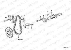 Camshaft, camshaft gear, timing chain
