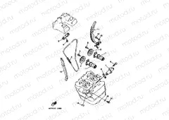 CAMSHAFT & CHAIN