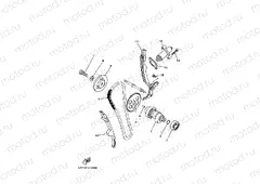 CAMSHAFT & CHAIN