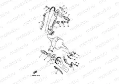 CAMSHAFT & CHAIN
