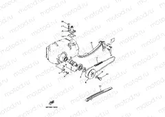 CAMSHAFT & CHAIN