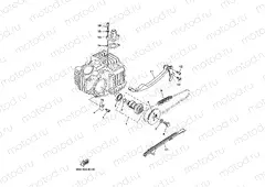 CAMSHAFT & CHAIN