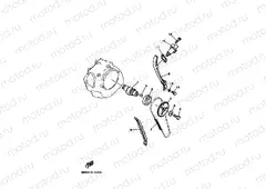 CAMSHAFT & CHAIN