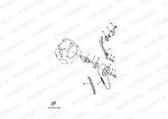 CAMSHAFT & CHAIN