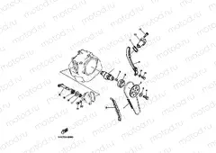 CAMSHAFT & CHAIN
