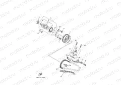 CAMSHAFT & CHAIN