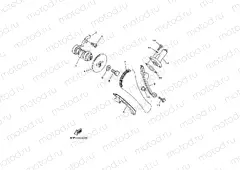 CAMSHAFT & CHAIN