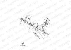 CAMSHAFT & CHAIN