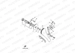 CAMSHAFT & CHAIN