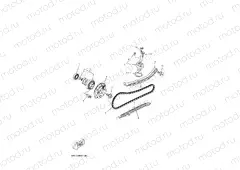 CAMSHAFT & CHAIN