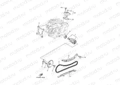 CAMSHAFT & CHAIN