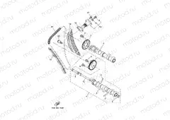 CAMSHAFT & CHAIN