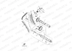 CAMSHAFT & CHAIN